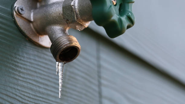 Best Residential Plumbing Services  in Wurtland, KY
